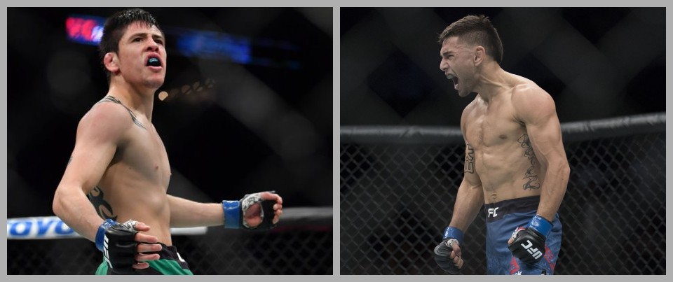 Doniesienia: Brandon Moreno zmierzy się z Alexem Perezem na UFC 255