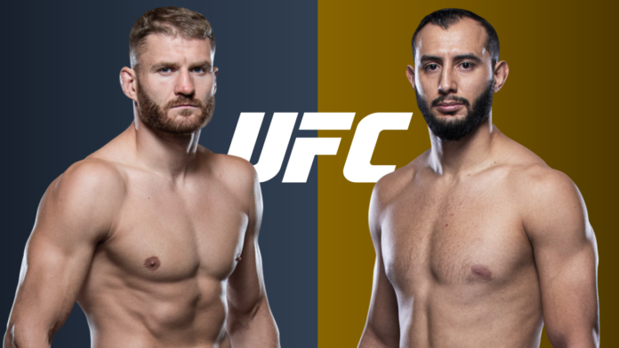 blachowicz reyes ufc 253
