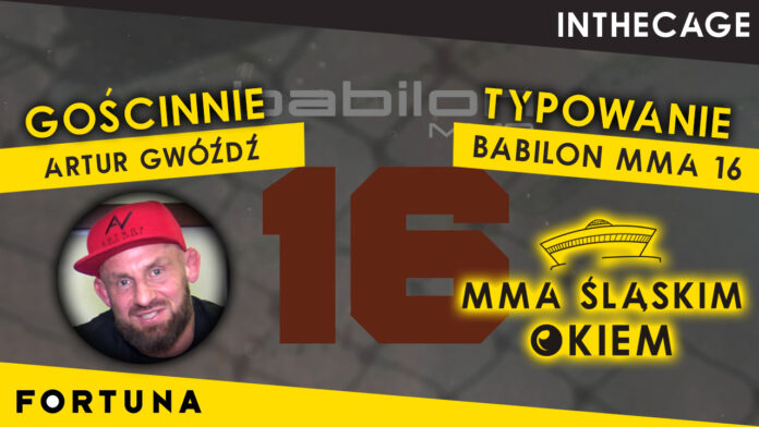 Babilon-mma-16-typowanie