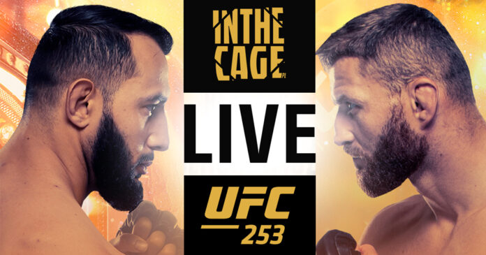 UFC-253-www-live-błachowicz-reyes