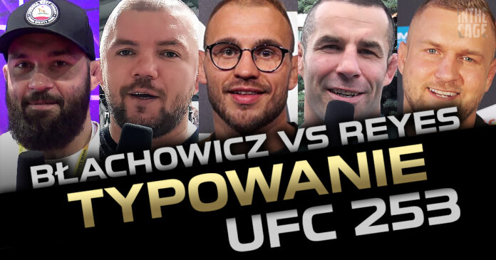 błachowicz-reyes-typowanie-ufc-253