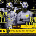 fortuna ufc 253