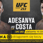 fortuna ufc 253