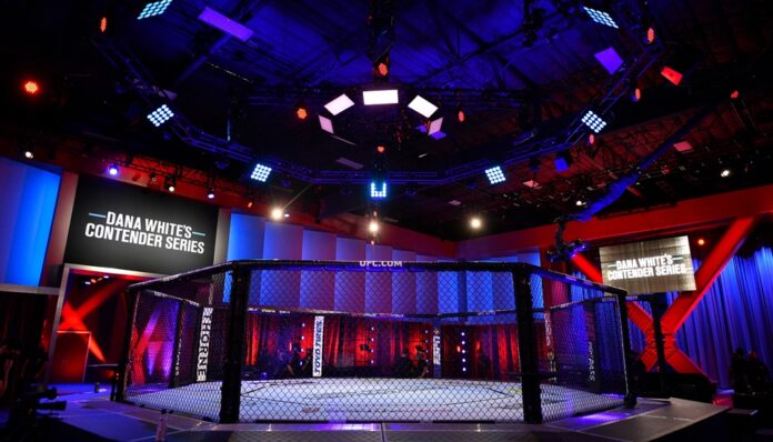 Dana Whites contnder series