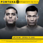 fortuna insta zombie