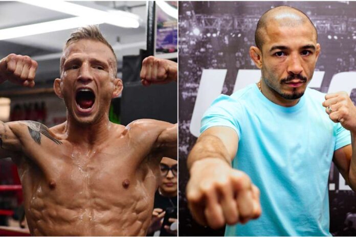 dilalshaw aldo