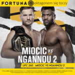 fortuna insta ufc 260