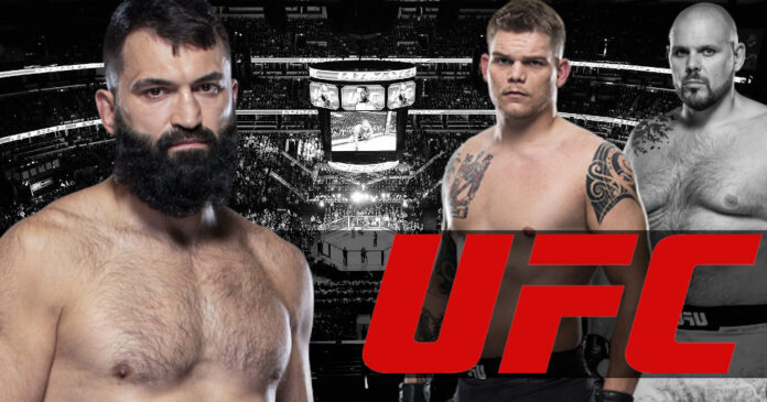 Arlovski, Sherman, Porter