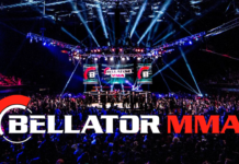 Gale Bellatora będzie można oglądać w Polsce!