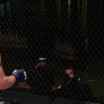 Cody Stamann, Merab Dvalishvili