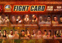 Armia Fight Night Special Edition – karta walk. Gdzie i jak oglądać?