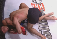 Bellator 263: Islam Mamedov niejednogłośnie pokonał Brenta Primusa