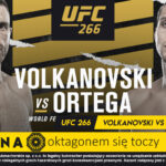 fortuna ufc 266