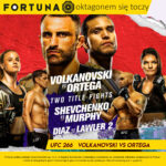 fortuna insta ufc 266