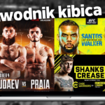 przewodnik