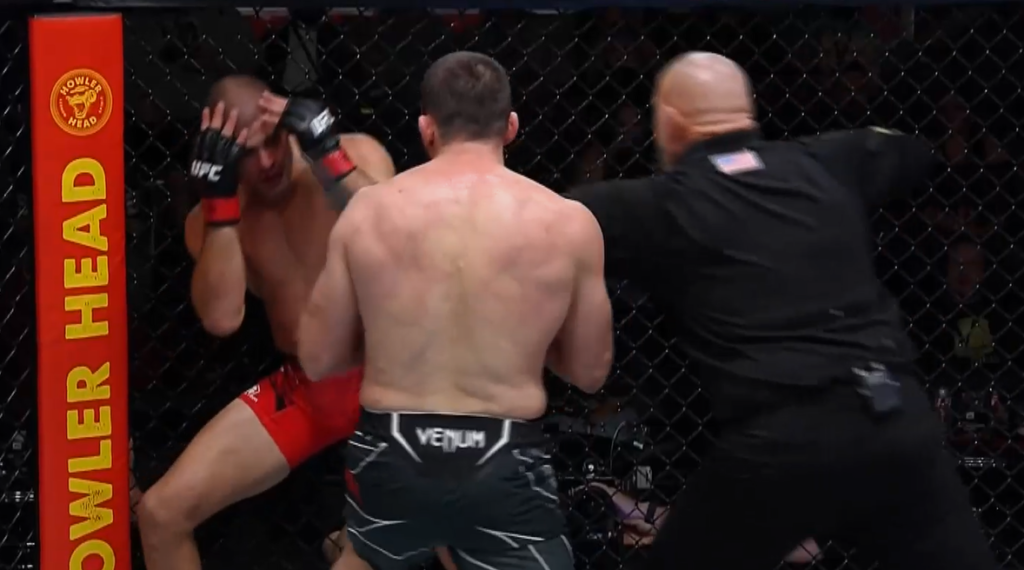 UFC Vegas 65: Muslim Salikhov wygrywa przez TKO z Andre Fialho [WIDEO]