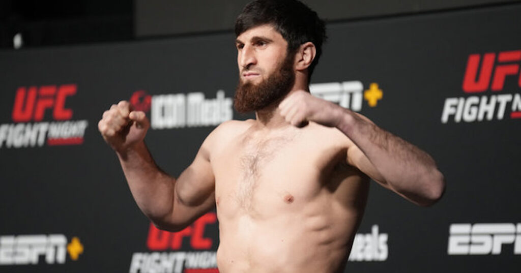 Magomed Ankalaev zawalczy na UFC 294