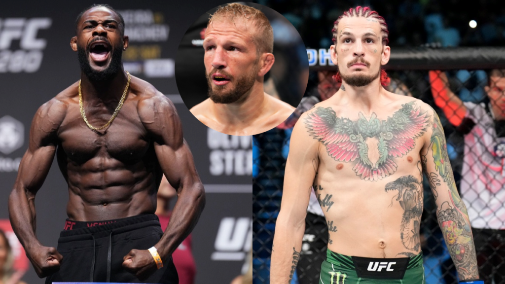 TJ Dillashaw typuje starcie Sterlinga z O’Malleyem