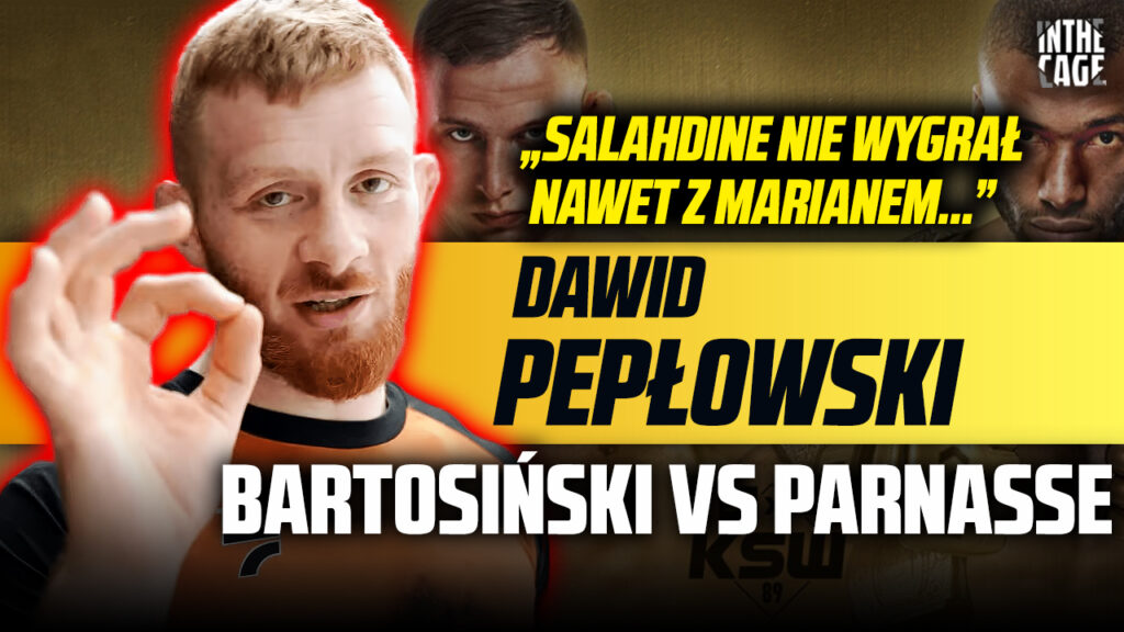 Dawid Pepłowski – analiza Bartos vs Parnasse | Pawlak | Jojua | Wikłacz vs Przybysz [WYWIAD]