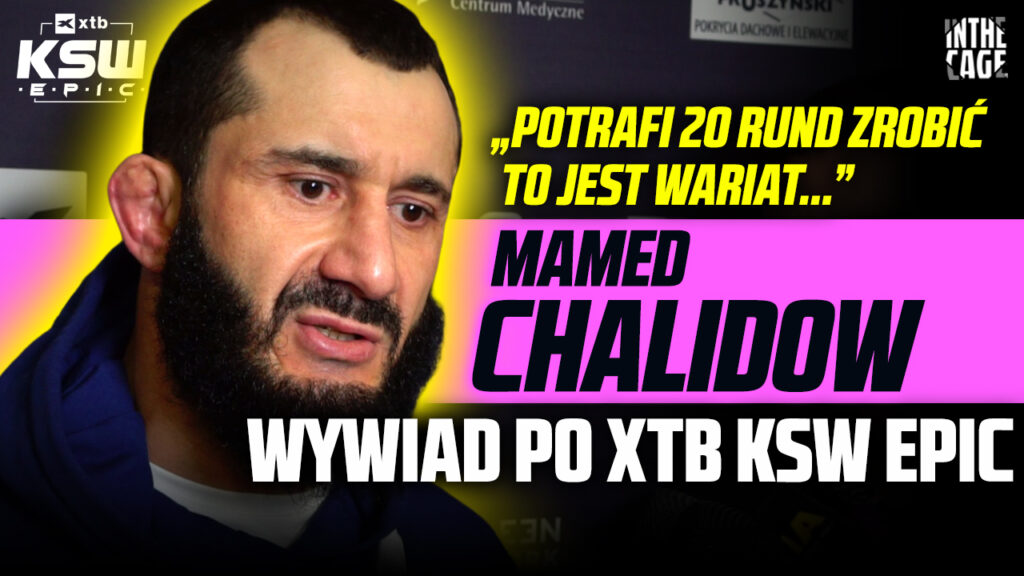 DOGRYWKA: Mamed Khalidov – czy chce rewanżu? | Materla vs Kuberski | Kolejna walka na KSW 100? [WYWIAD]
