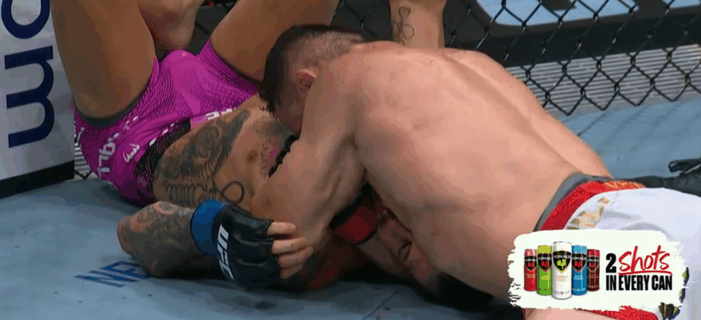UFC 316: Merab Dvalishvili udusił O’Malley’a i obronił pas mistrzowski! [WIDEO]