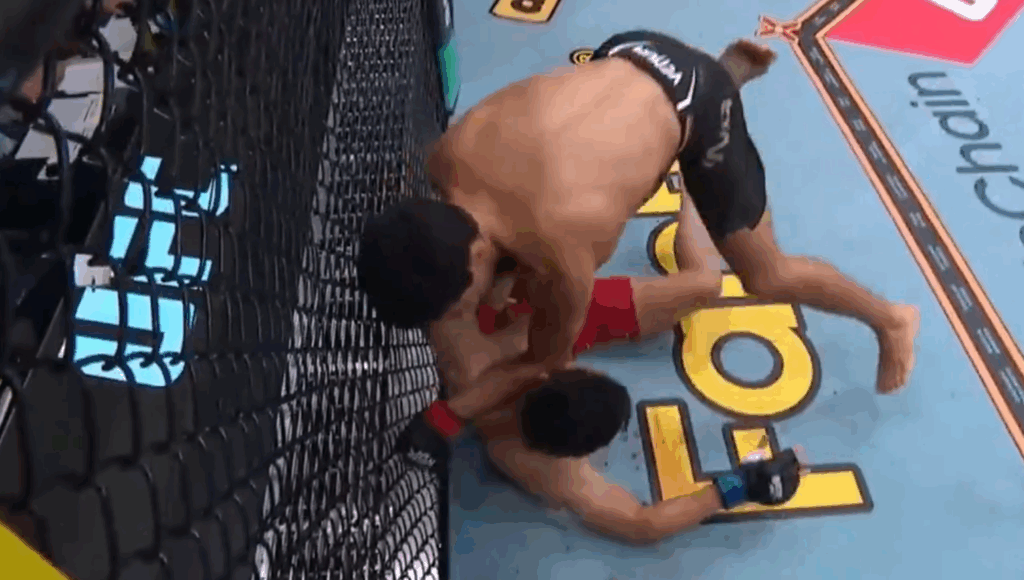 Noche UFC: Santiago Luna brutalnie nokautuje Quanga Le w debiucie! [WIDEO]