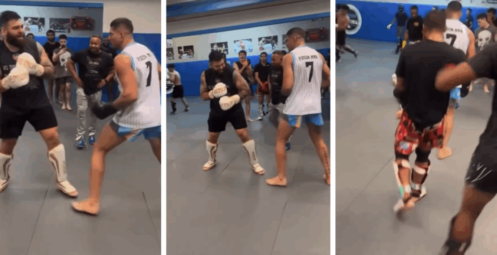 Alex Pereira odpala bombę na treningu! Sparingpartner pada jak rażony piorunem [WIDEO]