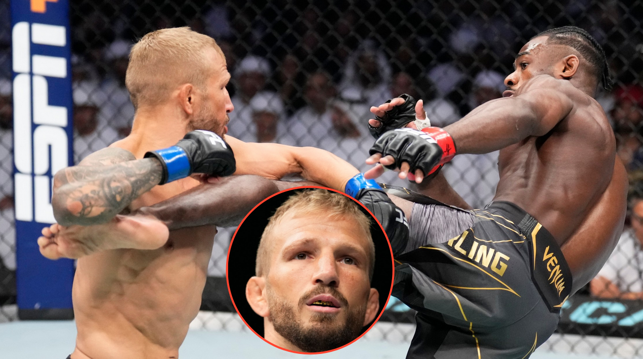 TJ Dillashaw, Aljamain Sterling