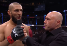 Joe Rogan ocenia potencjalne przejście Khamzata Chimaeva do kategorii półciężkiej: „On może to zrobić”