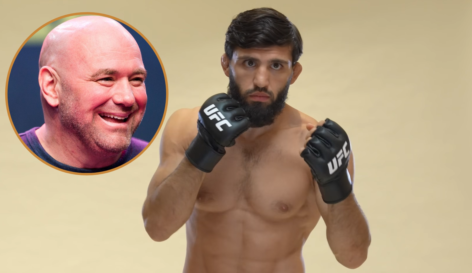 Arman Tsarukyan, Dana White