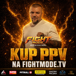 fightmode