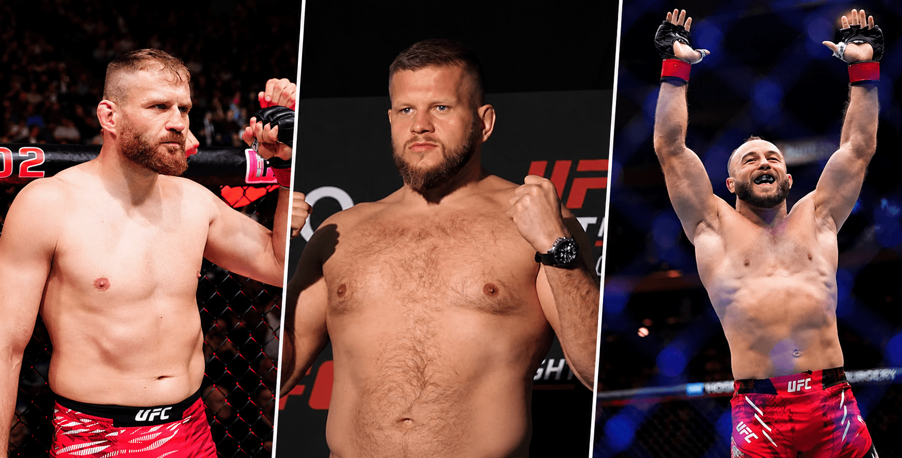 Polacy UFC Serbia
