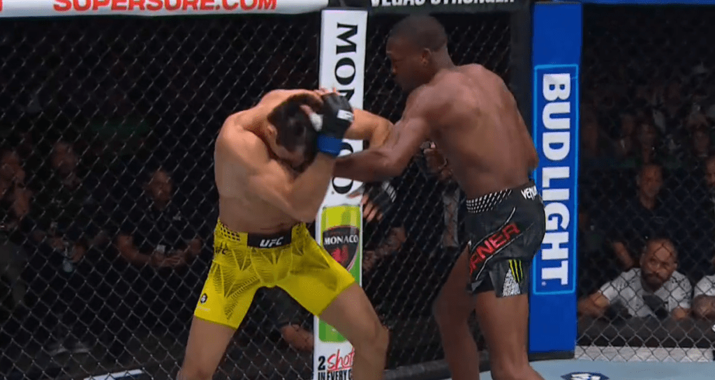 UFC 330: Jalin Turner błyskawicznie znokautował Kaue Fernandesa [WIDEO]