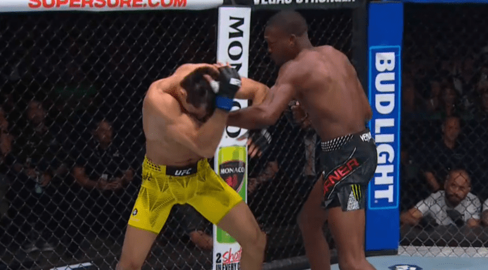 UFC 330: Jalin Turner błyskawicznie znokautował Kaue Fernandesa [WIDEO]